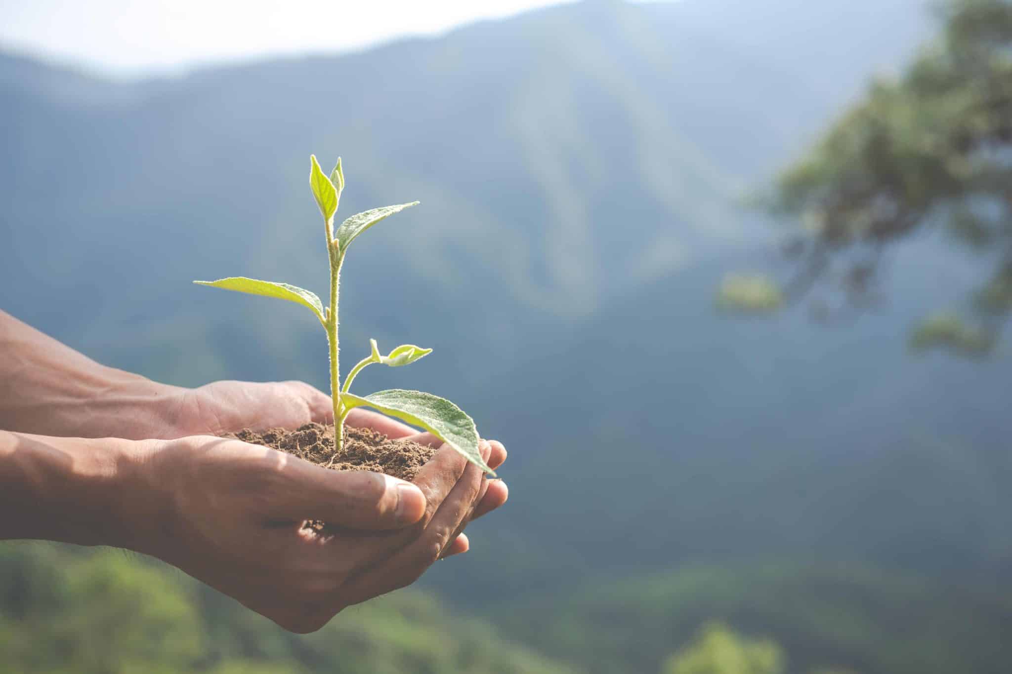 conservation environnement dans jardin pour enfants compressed scaled