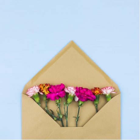 carnation flowers inside envelope2